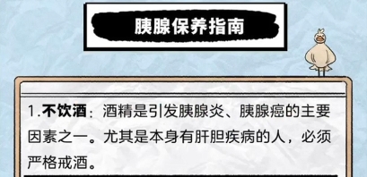 胰腺保養指南