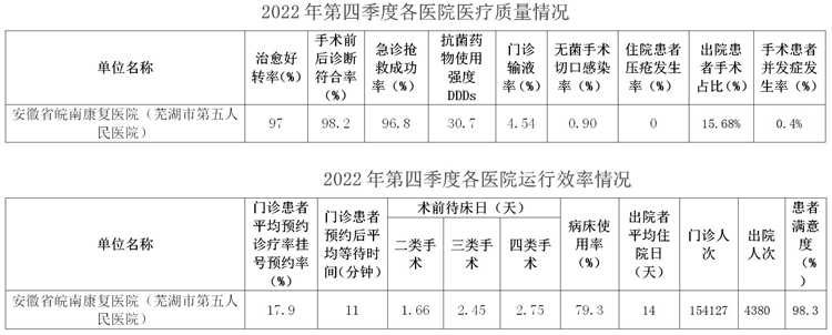 市五院-2022年蕪湖市第四季度醫(yī)療服務(wù)信息公開(kāi)_02.jpg